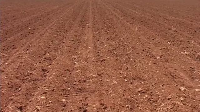 Planting Potatoes in Thorpdale, Gippsland, Victoria смотреть онлайн