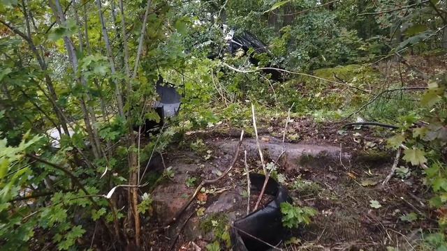 190915 Singelolycka i Norrköping смотреть онлайн
