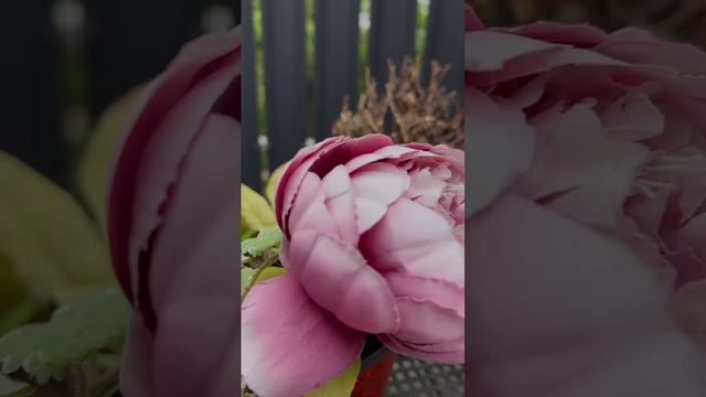 Михаил построй сочи кп уют смотреть онлайн