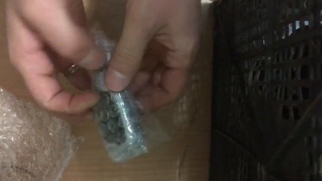 Брелок scher-khar magicar 5, С AliExpress, 1 часть смотреть онлайн