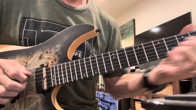 Schecter Reaper 6 w/ Sustainiac & Floyd Rose смотреть онлайн