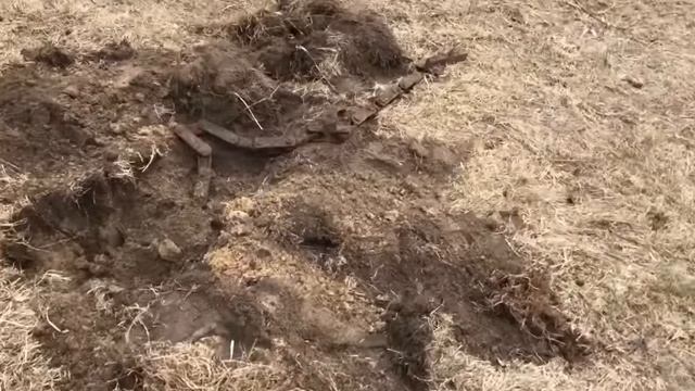 РАЗРЕШИЛИ ПОКОПАТЬ НА ЧАСТНОЙ ФЕРМЕРЕКОРДНЫЙ КОП смотреть онлайн