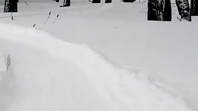 Толкач Гаджет. Новое корыто 2. смотреть онлайн