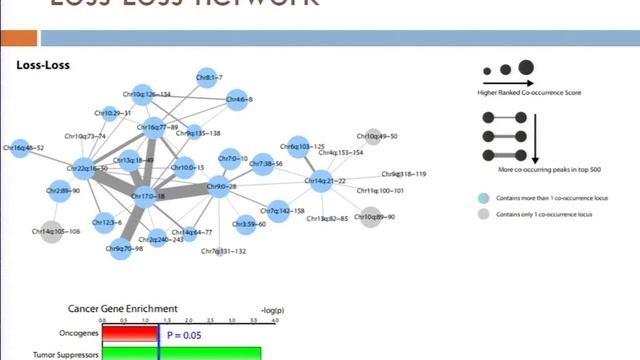 Finding co-occurrence of copy number changes in tumors. - Christiaan Klijn - ISMB 2010 смотреть онлайн