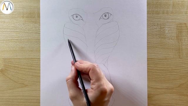 Как нарисовать обезьяну мартышку МАНДРИЛ / Mandrill monkey drawing смотреть онлайн