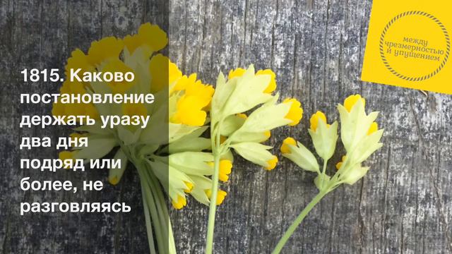 Каково постановление держать уразу два дня подряд или более, не разговляясь / Шарх Булуг иль-марам смотреть онлайн