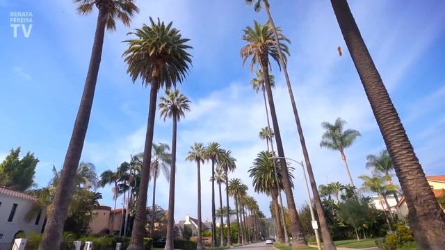 Los Angeles Tour: Getty Museum, Beverly Hills And Melrose | Travel Vlog 3