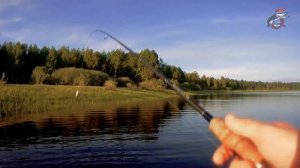 Рыбалка в старицах Тавды