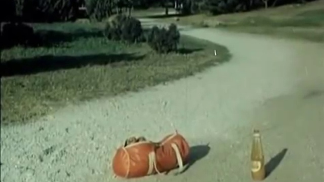 Да здравствует сюрприз - Незнайка с нашего двора смотреть онлайн