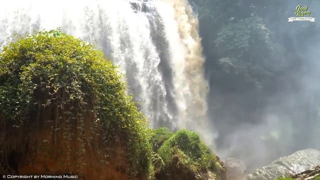 Positive Morning Music - Wake Up Happy Uplifting Mood - Peaceful Music For Stress Relief, Meditatio смотреть онлайн