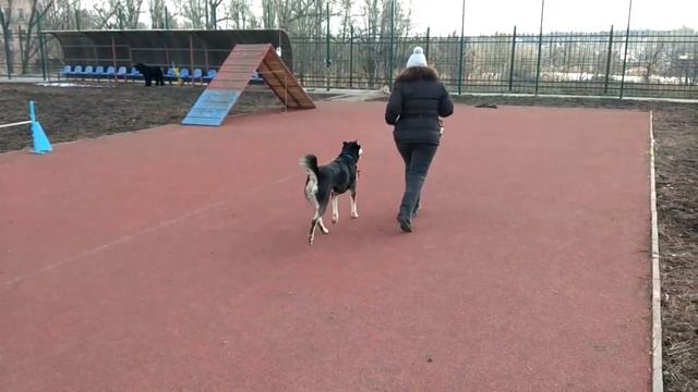 Найза. Убираем подсказки смотреть онлайн