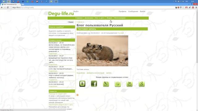 Видео FAQ как создать свой дневничок на сайте degu-life.ru смотреть онлайн