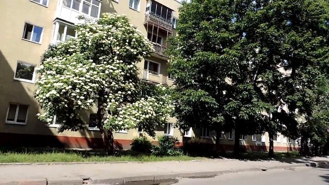 Калининград Königsberg. Улица Богдана Хмельницкого от Филармонии до Октябрьской улицы смотреть онлайн