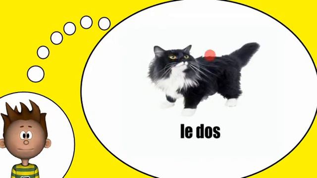 французский словарь = Кошка # 1