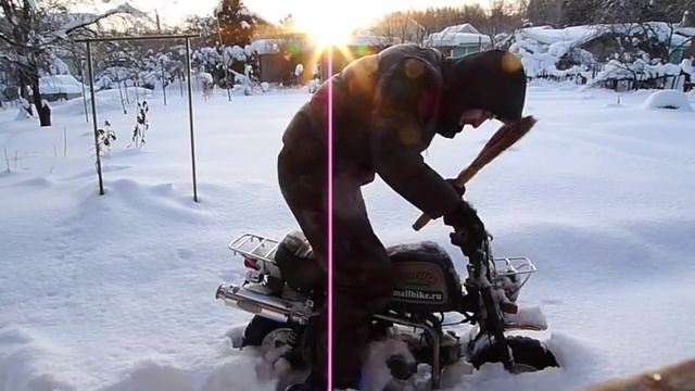 1988 Honda Gorilla Russia -20C