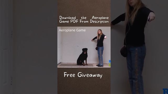 Omg! The Best Brain Games For Dogs Ever! CPDT-KA Certified Dog Trainer #shorts #dog смотреть онлайн