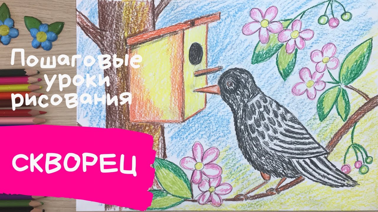 Как нарисовать рисунок скворца. Скворечник на дереве рисунок. Рисунок весна для детей. смотреть онлайн