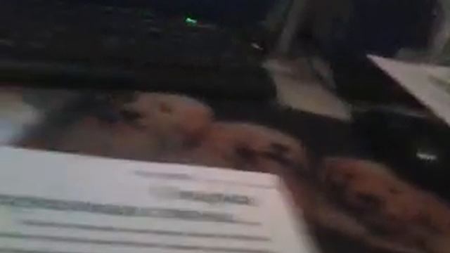 Искусство рисования и живописи №2 смотреть онлайн