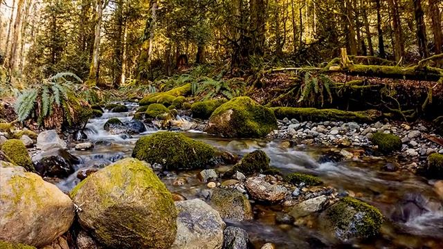 Молитва Иисусу Христу для похудения и от чревоугодия смотреть онлайн