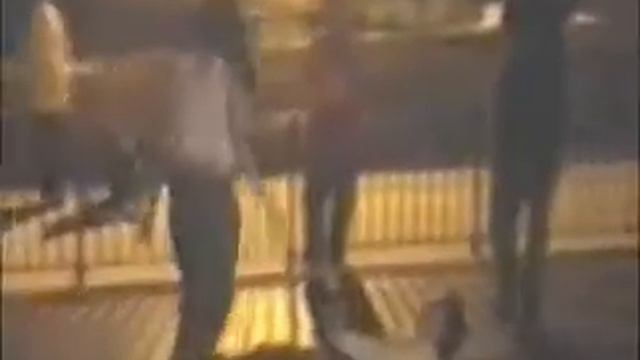 Raw Pitbull Titantron смотреть онлайн