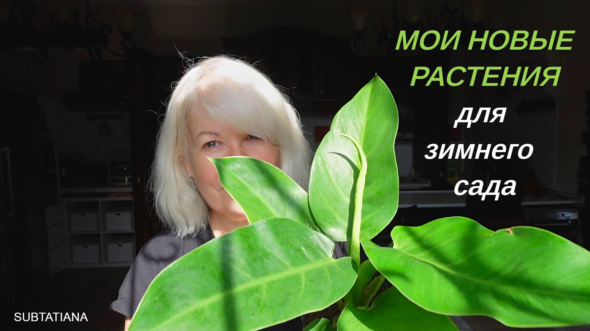 Посылка с растениями.Мои первые хойи.Пополнение для зимнего сада. смотреть онлайн