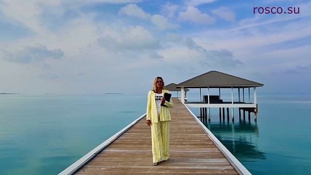 Краски Жизни