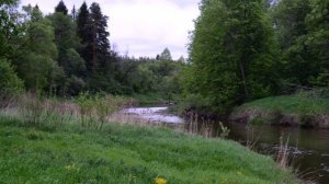 Загородный отель «Лепота» в Подмосковье, отзыв