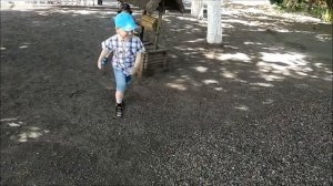 Прогулка в детском саду