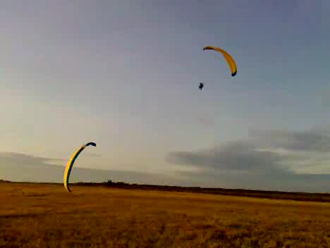 парапланы