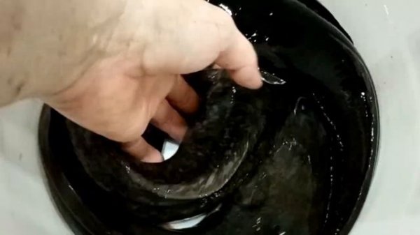 Клариевый сом 6 месяцев в самодельной автоматической УЗВ