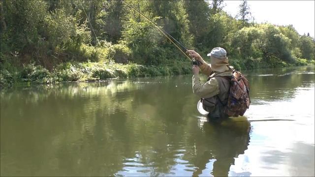 Фото и видео кадры о прошедшем лете далекого 2013 года.. смотреть онлайн