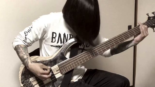 ENDLESS DEMISE/A Ghost of Flare BASS Playthrough смотреть онлайн