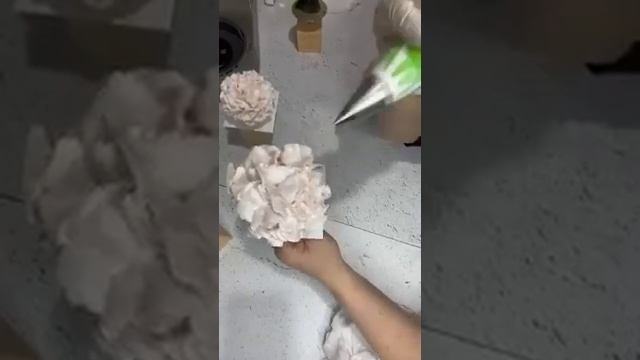 ЗЕФИРНЫЕ гортензии ???от Амины Эскиевой Inna_moscow.desserts