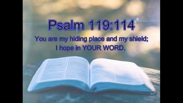 Let's memorize Psalm 119:114 ! смотреть онлайн
