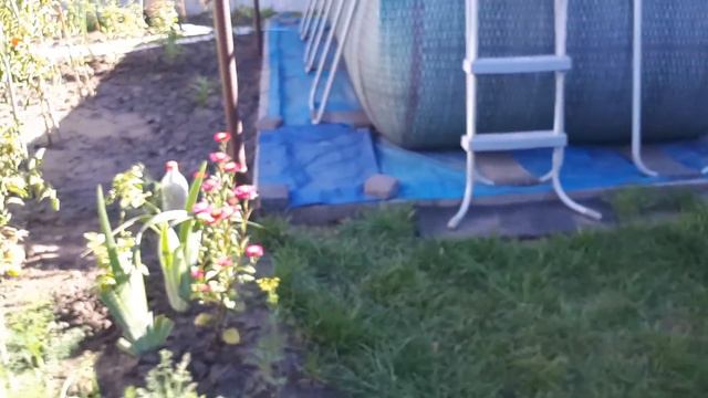 КОМУ НЕ НРАВИТСЯ БЕЗ ПРОБЛЕМ -ВПЕРЕД И С ПЕСНЕЙ/У НАС ДОМА ТАК/ смотреть онлайн