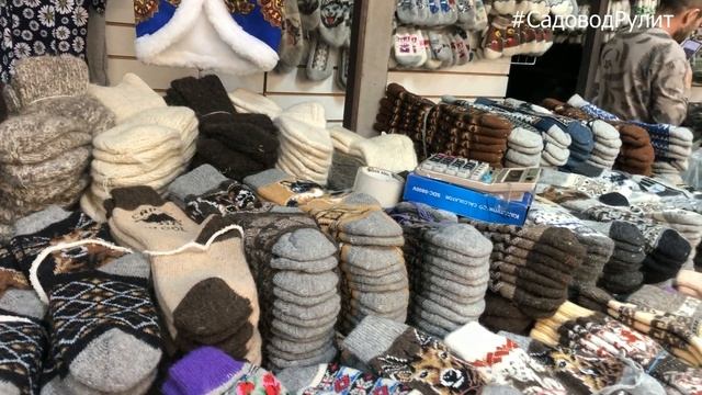 САДОВОД ? ШЕРСТЯНЫЕ НОСКИ, ГОЛЬФЫ, ВАРЕЖКИ, ПЕРЧАТКИ, ЖИЛЕТКИ, ЛЕЧЕБНЫЕ ПОЯСА❤️ МОНГОЛИЯ, РОССИЯ смотреть онлайн