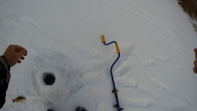 Внезапный БОНУС! Рыбалка на "болоте" за домом. Безнасадка. Удочка с магнитом. Артуда. смотреть онлайн