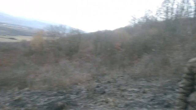 Коп в лесах с фортуной м3 пл.#22. смотреть онлайн