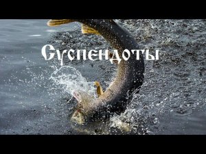 Заглубители для воблеров суспендоты " Suspendots "