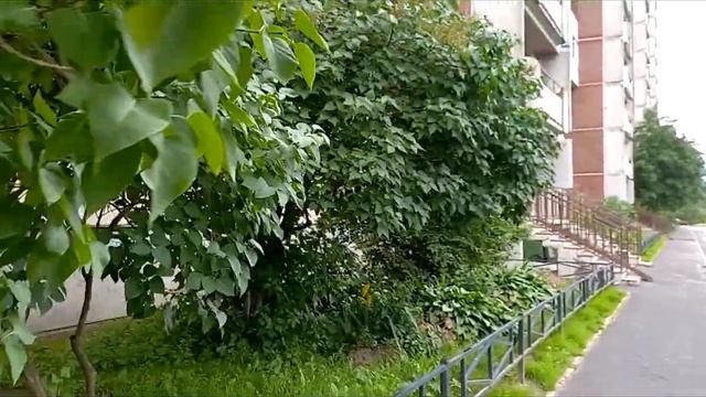 Питер Уютные дворы Коммунальные платежи смотреть онлайн