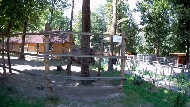 Прогулка в зоопарке.г.Брянск. Съёмка на экшен камеру Sjcam Sj6 Legend.