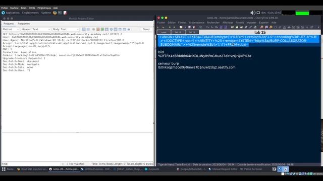 Résolution de Lab: Blind SQL injection with out-of-band interaction avec Owasp Zap. смотреть онлайн