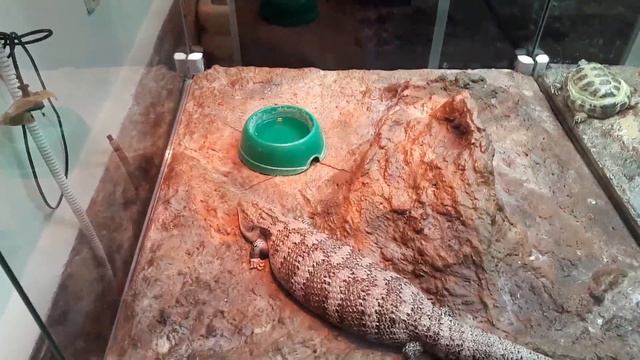 Ставропольский краевой зооэкзотариум смотреть онлайн