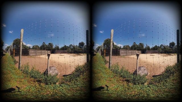 Go to the Zoo! VR180 3D VR смотреть онлайн