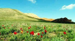 Рыбалка с ночевкой. Мотопоход. Цветение тюльпана Шренка. Гора Большое Богдо.