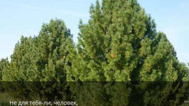 Не для тебя-ль земля таинственные недра... смотреть онлайн