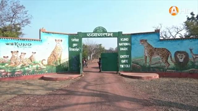 Какие мы разные: в Кении есть деревня, куда нет доступа мужчинам... смотреть онлайн