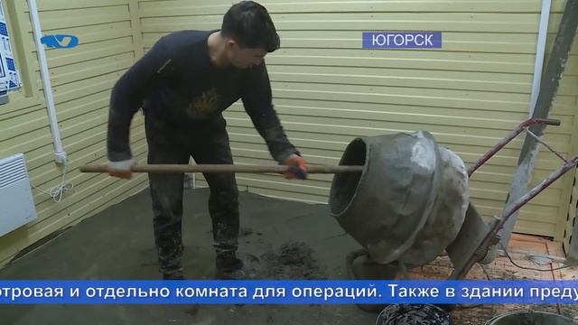 В Югорске возводят приют для собак смотреть онлайн