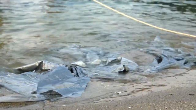 Washed Ashore Project Uses Ocean Plastic to Sculpt Animals смотреть онлайн