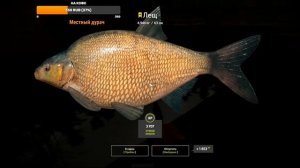 Трофейный лещ на Вьюнке. ТРОФ ЛЕЩА. Река Вьюнок. Русская Рыбалка 4. РР 4. В Поисках Контента. РР4.